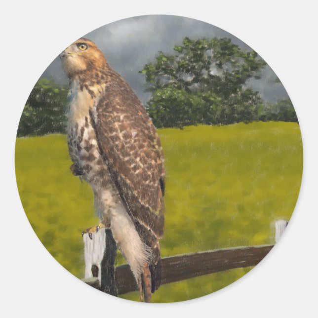 Waiting for the Storm - Red tail Hawk Classic Round Sticker (Front)