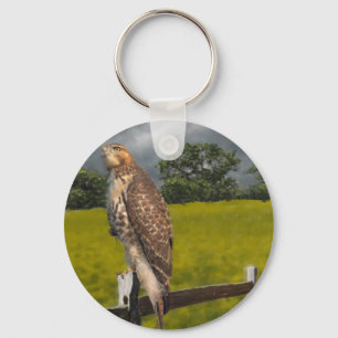 Waiting for the Storm - Red tail Hawk Keychain