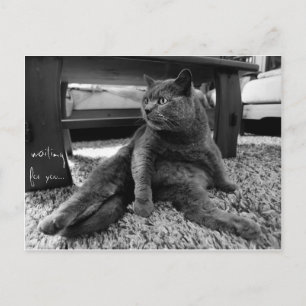 Waiting for you - Postcard