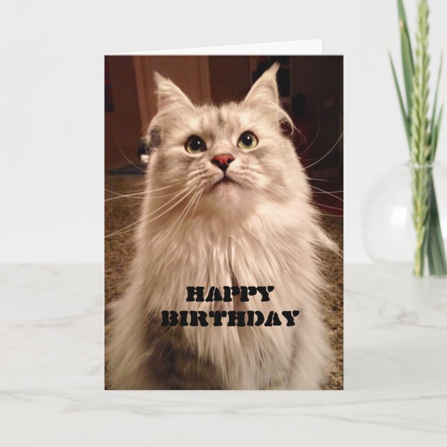 Waiting Patiently for Cake Birthday Card (Front)