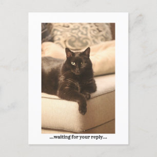 ...waiting...postcard holiday postcard