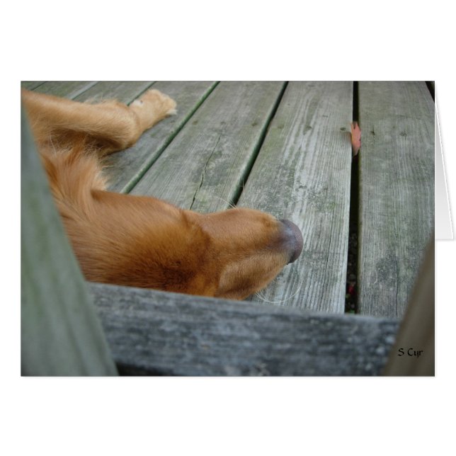 Waiting, S Cyr (Front Horizontal)
