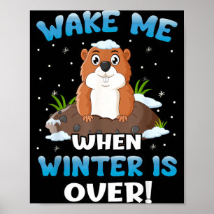 Wake Me When Winter Is Over Funny Groundhog Woodch Poster