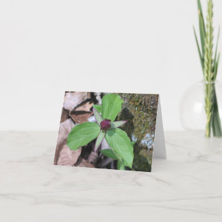 Wake Robin - Customized Card