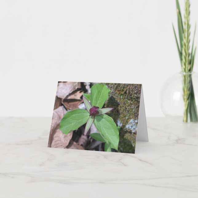 Wake Robin - Customized Card (Front)