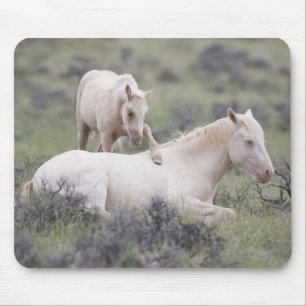 Wake Up Brother Mousepad