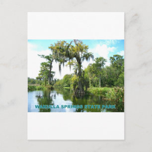 WAKULLA SPRINGS STATE PARK - FLORIDA POSTCARD