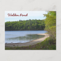 Walden Pond, Concord, MA