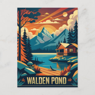 Walden Pond Concord, Massachusetts  Postcard