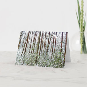 *Walden Pond: Holiday- Silence- A-Universal Refuge Holiday Card