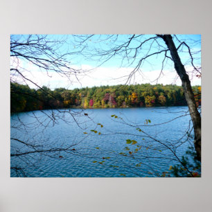 Walden Pond in the Fall Poster