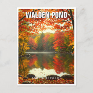 Walden Pond Massachusetts Travel Postcard