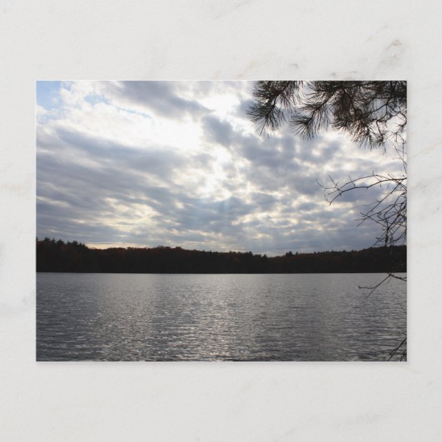 Walden Pond Postcard (Front)