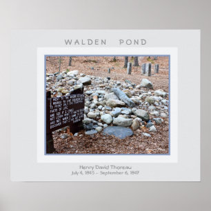 Walden Pond Poster