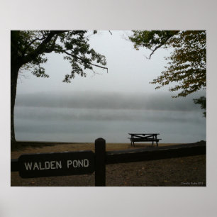 Walden Pond  Poster - Contemplative Mist