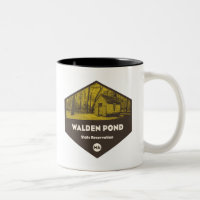 Walden Pond State Reservation Massachusetts
