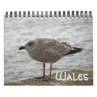 Wales 2022 Calendar