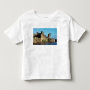 Wales - Caerphilly castle, with a view of the Toddler T-shirt