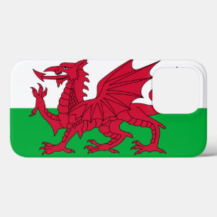 Wales iPhone 13 Pro Case