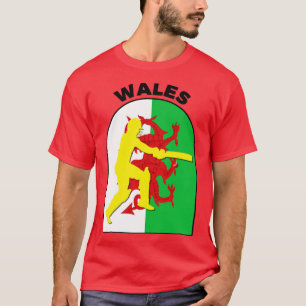 Wales Cricket Batsman Wales Flag  T-Shirt