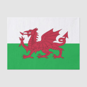 Wales fashion decor, Welsh Flag tissue paper