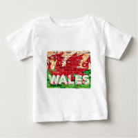 Wales Flag on Brick