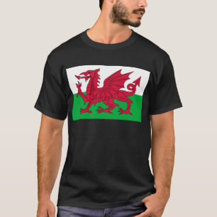 wales flag T-Shirt