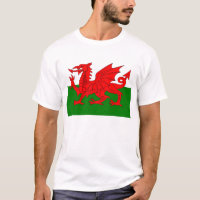 Wales flag Welsh red dragon