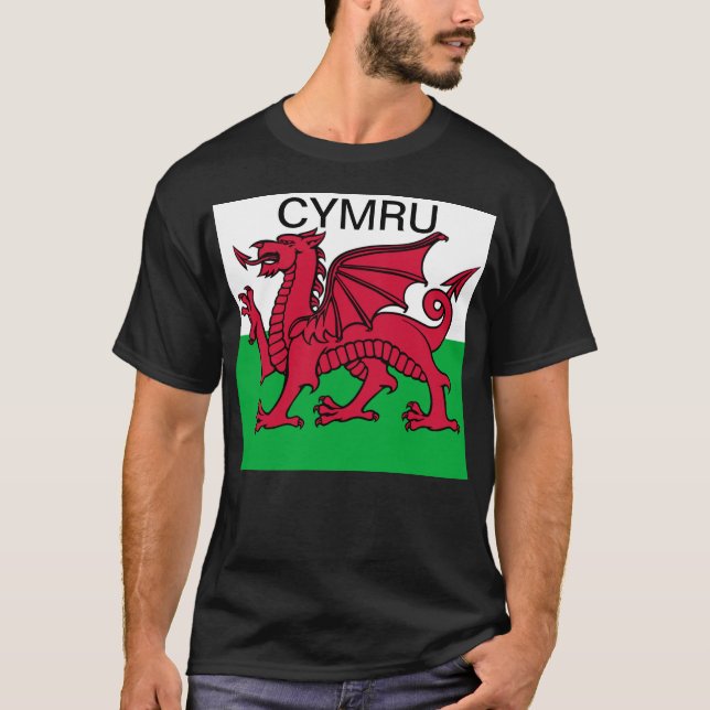Wales Flag World Cup 2022 Red dragon Cymru T-Shirt (Front)