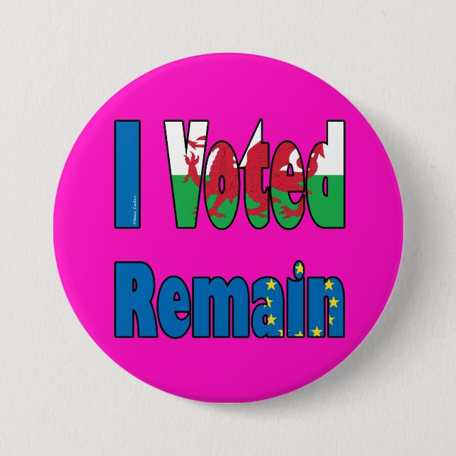 Wales "I Voted remain" EU referendum 3 Inch Round Button (Front)