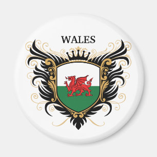 Wales [personalize] magnet