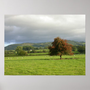 Wales Tree Poster
