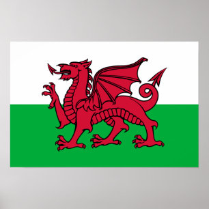 Wales -Welsh Flag Poster
