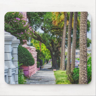 Walk Along Rainbow Row Mouse Pad