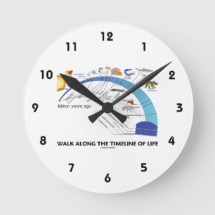 Walk Along The Timeline Of Life Biology Evolution Round Clock