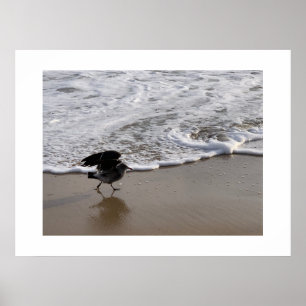 Walk by the Waves California Colour Photography Poster