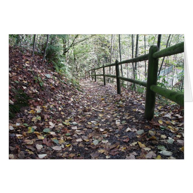 Walk in the Park (Front Horizontal)