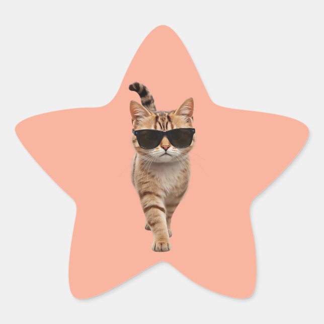 Walk Like You Mean It Star Sticker (Front)