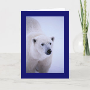 Walk on the Wild Side - Polar Bear Card