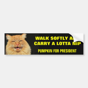 Walk Softly and Carry...Pumpkin for President Bumper Sticker