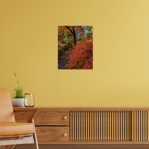 Walk Through an Autumn Color Botanical Garden Poster