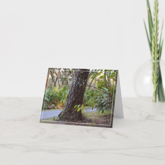Walk Through Lettuce Lake Note Card (Front)