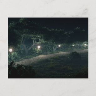 Walk Through The Woods 2009 Postcard