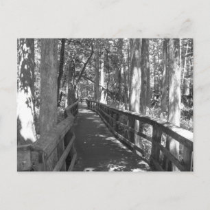 Walk to Remember Postcard