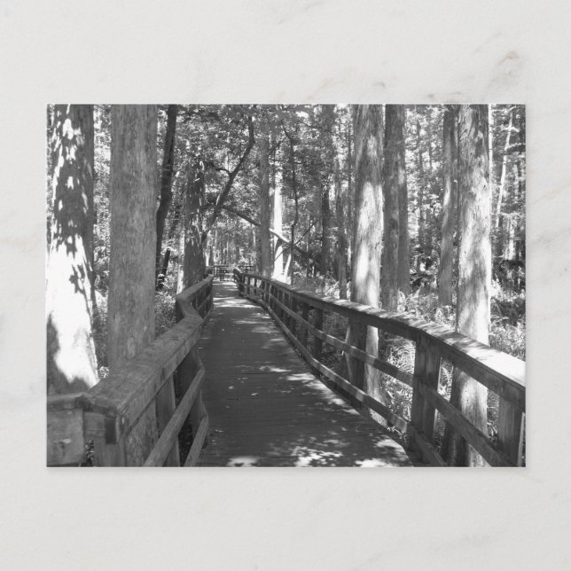 Walk to Remember Postcard (Front)