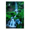 Walk with Nature Beautiful Waterfall Green Nature