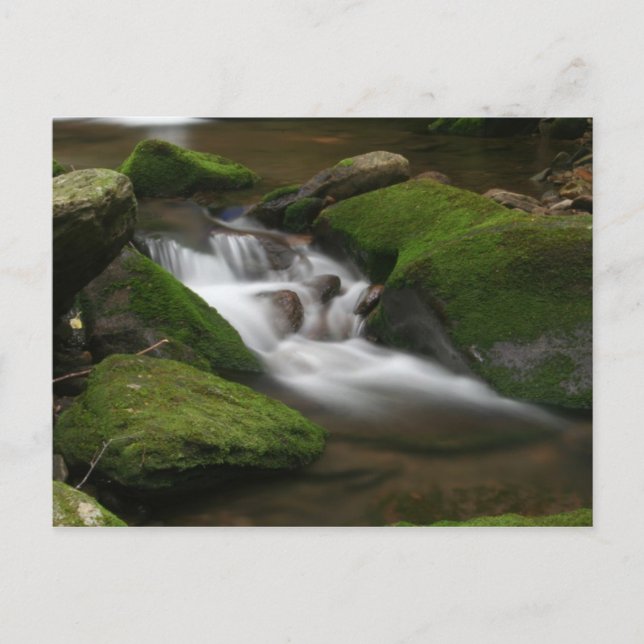 Walker Creek Postcard (Front)