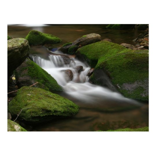 Walker Creek Postcard