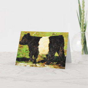Walking Belted Galloway steer calf Blank Inside Holiday Card