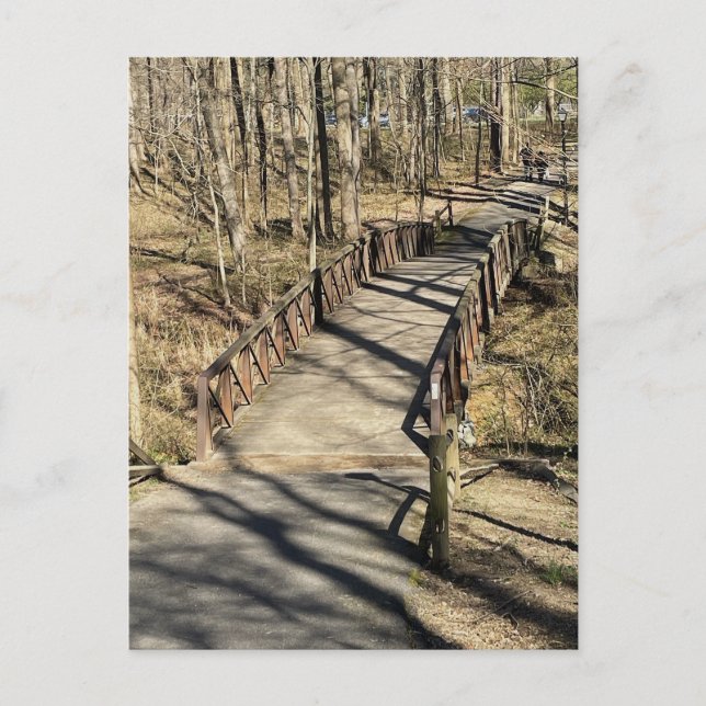 Walking Bridge Postcard (Front)